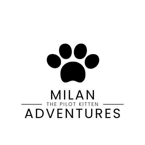 Milan's Adventures